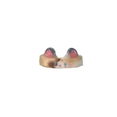 Cute Cartoon Cute Doll Cat Cat Cat Cat Ring Alloy Niche Bracelet Girl Heart Simple All-match Tail Ring 5